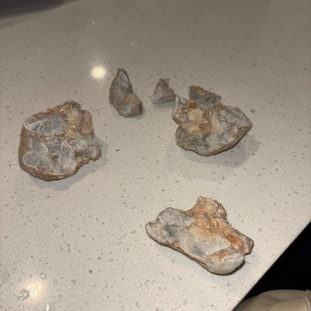 Fossilized dinosaur coprolite poop geode. home decor crystal